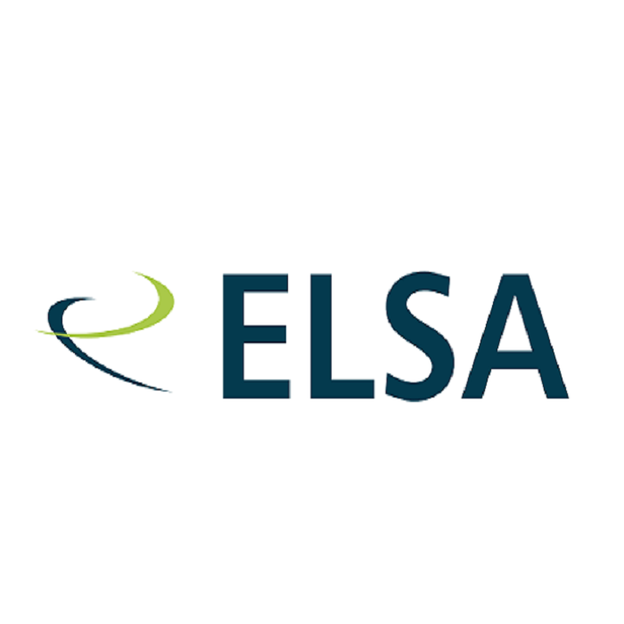 Elsa